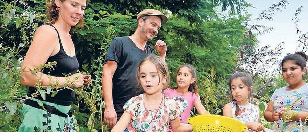 Kräuter sammeln für die Butter. Robert Shaw (mit Mütze) organisiert zum 4.Mal einen Nachmittag mit Workshops für Flüchtlingskinder.