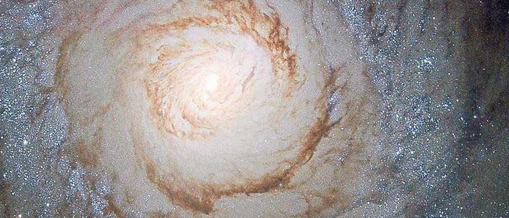 Sternenstrudel. Die Galaxie Messier 94 im Sternbild Jagdhunde, aufgenommen vom Weltraumteleskop "Hubble".