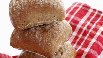 Der Schusterjunge galt als bedrohte Art. Jetzt kommt das Sauerteigbrötchen zurück.