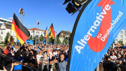 Geringe Bildung und rechtsorientiert: Die AfD hat inzwischen ganz andere Anhänger als in ihren Anfangsjahren. 