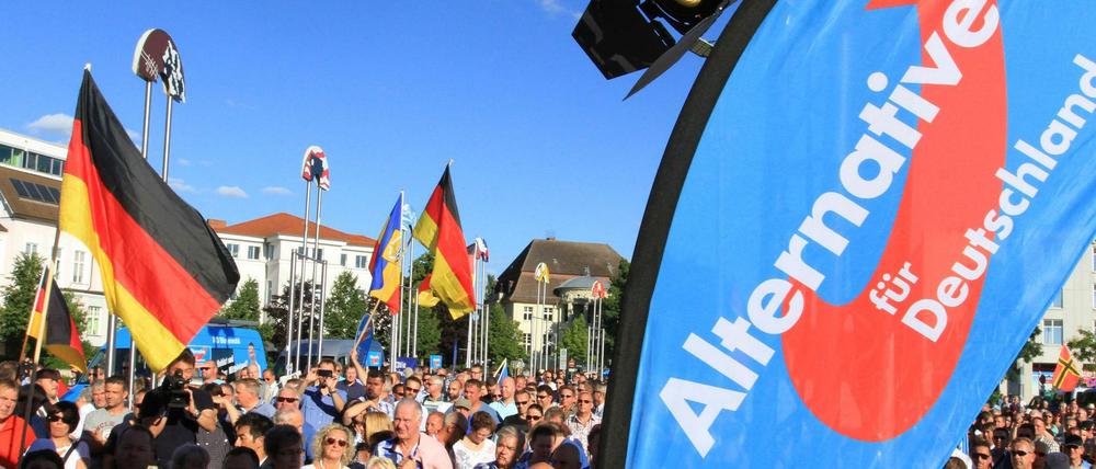 Geringe Bildung und rechtsorientiert: Die AfD hat inzwischen ganz andere Anhänger als in ihren Anfangsjahren.
