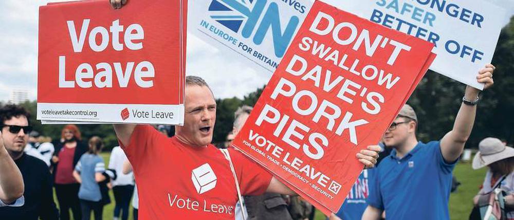 Junge Briten halten bei einer Demonstration "Vote Leave"-Schilder hoch.