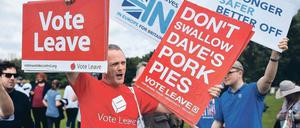 Junge Briten halten bei einer Demonstration "Vote Leave"-Schilder hoch.