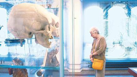 Schauen statt Tippen: Das Medizinhistorische Museum in Mitte landete zusammen mit dem Botanischen Garten in der TLGG-Digitalstudie auf den letzten Plätzen.