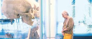 Schauen statt Tippen: Das Medizinhistorische Museum in Mitte landete zusammen mit dem Botanischen Garten in der TLGG-Digitalstudie auf den letzten Plätzen.