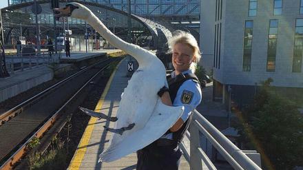 Da schwante der Polizei was. Mit Tieren, hier im Oktober am Hauptbahnhof, kennen sich die Beamten gut aus.