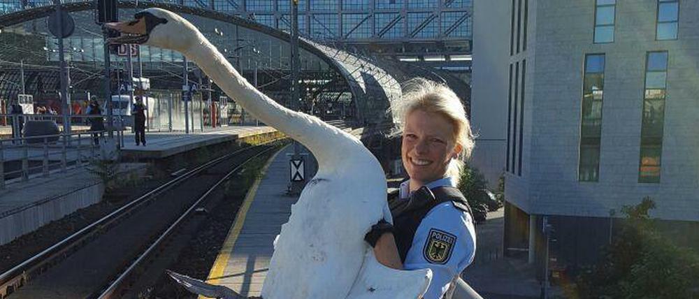 Da schwante der Polizei was. Mit Tieren, hier im Oktober am Hauptbahnhof, kennen sich die Beamten gut aus.