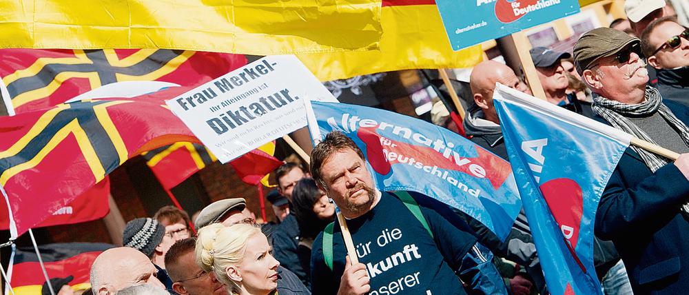 AfD-Anhänger demonstrieren am in Stralsund.