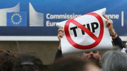 Protestpotential. Die Gegnerschaft des Freihandelsabkommens TTIP ist vielfältig - hier eine Demonstration in Brüssel.