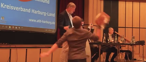 Attacke mit gefrorener Torte auf AfD-Bundeschef Meuthen