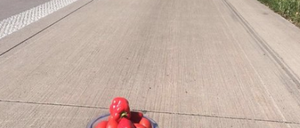 Warndreieck aus Paprika: Die Polizei war großzügig