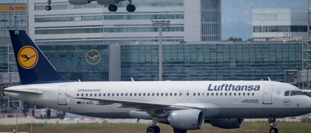 Eine Passagiermaschine der Lufthansa landet auf diesem Archivfoto auf dem Flughafen in Frankfurt am Main.