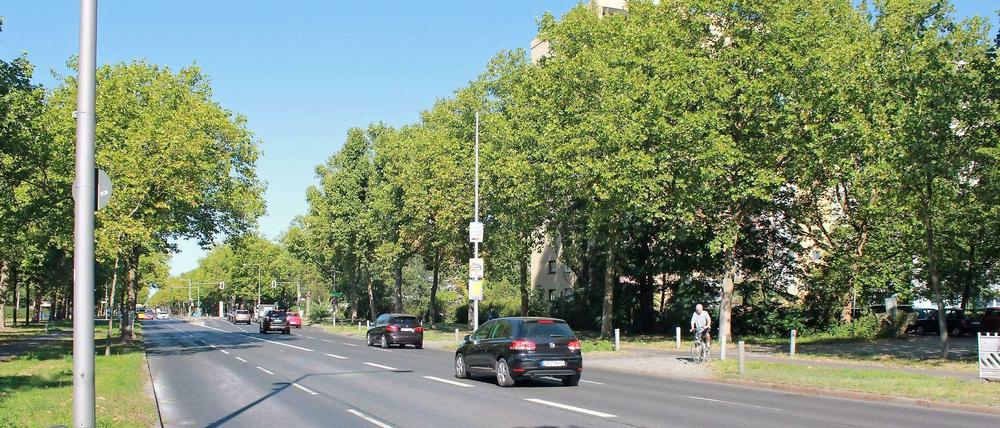 Die Heerstraße wird in diesem Bereich voll gesperrt.