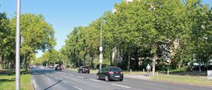 Die Heerstraße wird in diesem Bereich voll gesperrt.