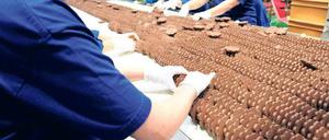 Zwischen Mehl und Milch. Egal, wie warm es draußen noch ist – Weihnachten kommt bestimmt. Angesichts der Mengen an Süßigkeiten, die jährlich verdrückt werden, haben die Mitarbeiter im Bahlsen-Werk bereits im Spätsommer viel zu tun.