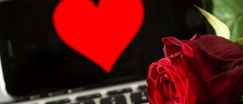 Zwölf Millionen Menschen gehen im Netz auf Partnersuche. ProSiebenSat.1 verspricht sich vom Kauf der Singlebörsen Elitepartner und Parship deshalb ein lukratives Geschäft. 