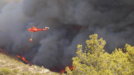 An der Costa Blanca frisst sich ein katastrophales Feuer durch ein ausgetrocknetes Waldgebiet.