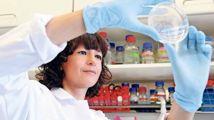 Revolution aus der Petrischale. Die Biologin Emmanuelle Charpentier hat mit der Genschere Crispr-Cas9 ein biotechnisches Verfahren mitentwickelt, das neue Perspektiven für Forschung, Biotechnik und Medizin bereithält. Seit Oktober 2015 ist die Französin Direktorin am Max-Planck-Institut für Infektionsbiologie in Berlin-Mitte. 
