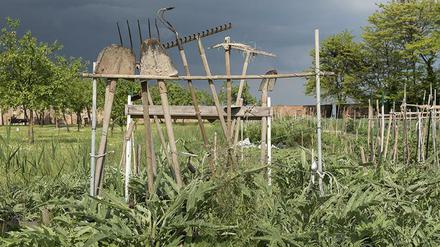 Ein Foto von Gabriele Kostas aus der Serie „Gartenkooperative Veneto“ .