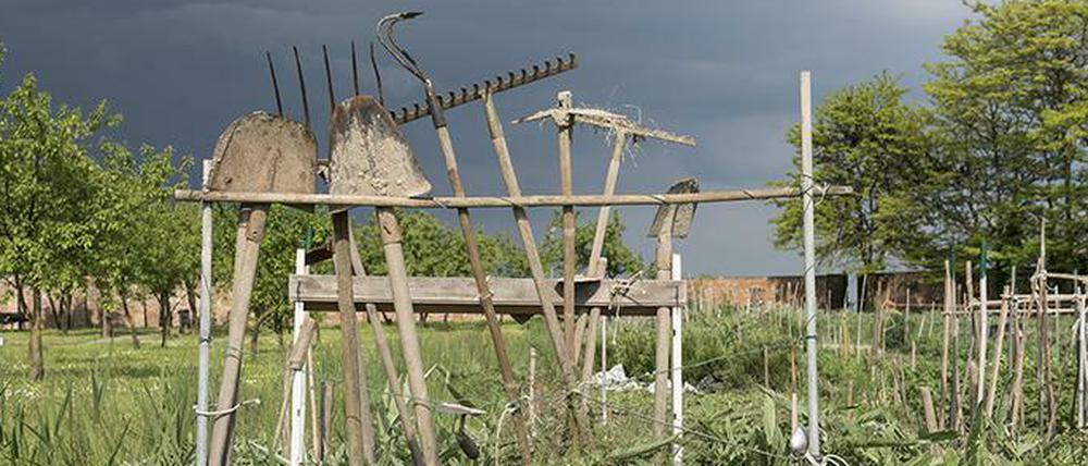 Ein Foto von Gabriele Kostas aus der Serie „Gartenkooperative Veneto“ .