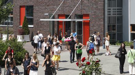 Die Viadrina-Universität in Frankfurt/Oder - dort kann man die Fächer Jura und Kulturwissenschaften NC-frei belegen.