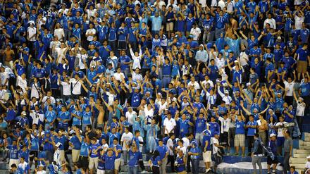 Fans von El Salvador feiern. 