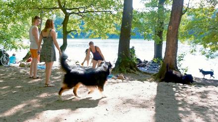 Schlachtensee in Berlin-Zehlendorf.