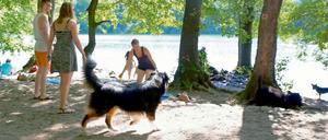 Schlachtensee in Berlin-Zehlendorf.