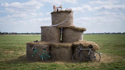 Sommerfrische. Auch auf dem Tempelhofer Feld ist der Übergang vom Sommer zum Herbst zu spüren.