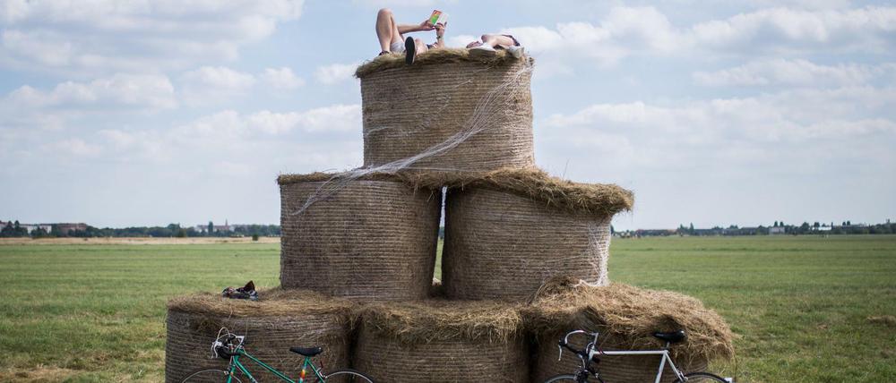Sommerfrische. Auch auf dem Tempelhofer Feld ist der Übergang vom Sommer zum Herbst zu spüren.