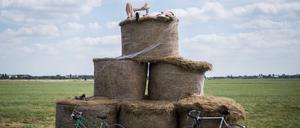 Sommerfrische. Auch auf dem Tempelhofer Feld ist der Übergang vom Sommer zum Herbst zu spüren.