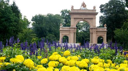 Nicht überall im Bürgerpark sieht es so schön aus.