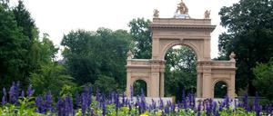 Nicht überall im Bürgerpark sieht es so schön aus.