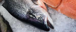 Lachs aus Norwegen ist bei den deutschen Verbrauchern beliebt.
