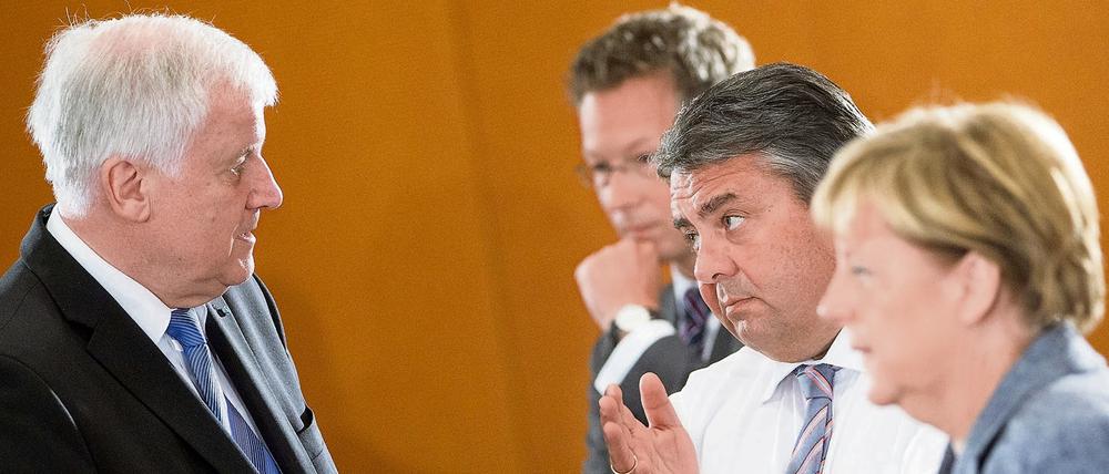 Nicht immer einer Meinung: Horst Seehofer (links) und Sigmar Gabriel, hier mit Angela Merkel im Kanzleramt.