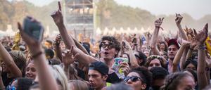 Rund 140.000 Menschen tanzten bis Sonntagabend im Treptower Park und verwandelten die Grünflächen zum Teil in eine Staubwüste. Die Anwohner hatten es befürchtet und vorab versucht, gegen das „Lollapalooza“ vorzugehen.