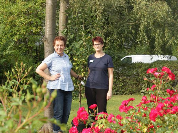 Obstbäume im Stiftungsgarten in Zehlendorf werden gepflegt.