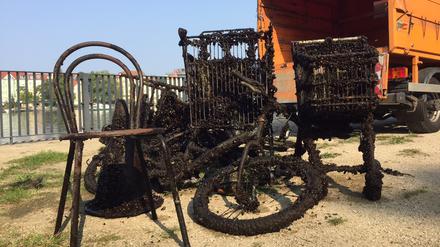 Das haben Taucher aus der Dahme in Treptow-Köpenick gefischt.