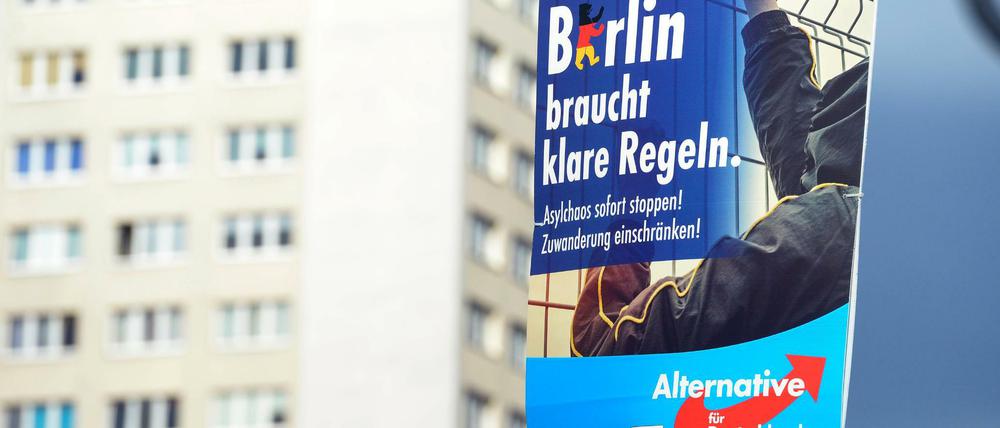 AfD-Wahlplakate in Berlin.