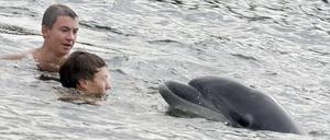 Ein Delfin schwimmt zwischen Badenden im Eingang zum Alten Schleusenkanal in Holtenau bei Kiel.
