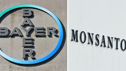 Bayer kauft Monsanto. 