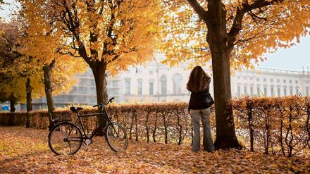 Der Herbst kommt sicher irgendwann - und dann ist auch der nächste Sommer nicht mehr weit.