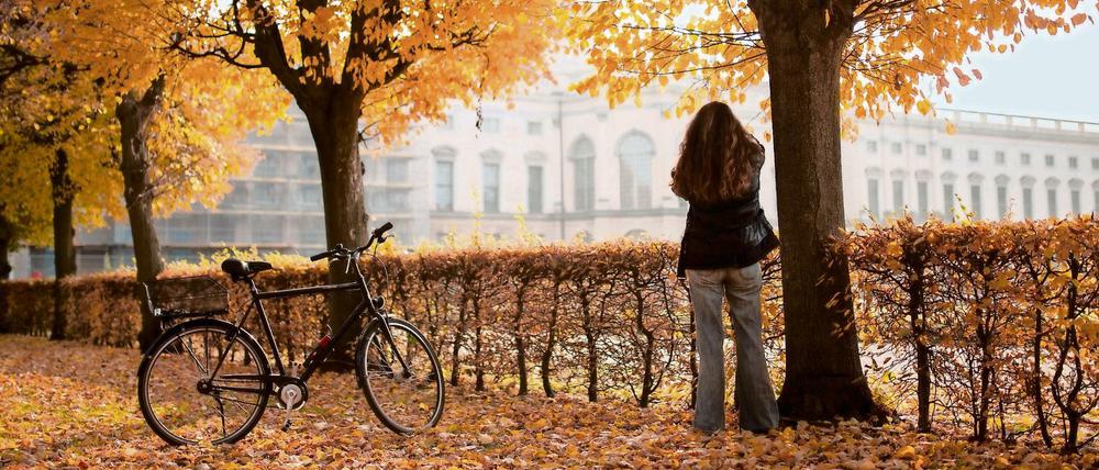 Der Herbst kommt sicher irgendwann - und dann ist auch der nächste Sommer nicht mehr weit.