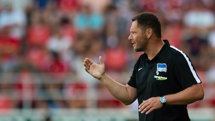Pal Dardai geht auf Risiko gegen Schalke 04.