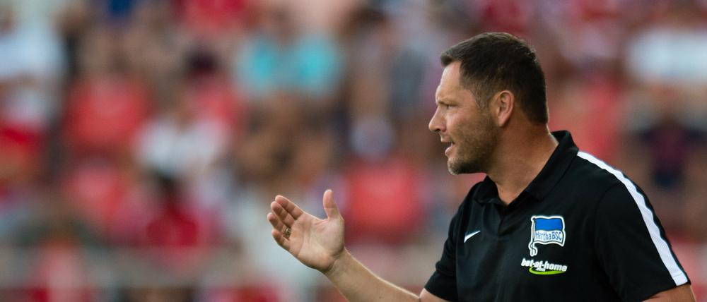 Pal Dardai geht auf Risiko gegen Schalke 04.