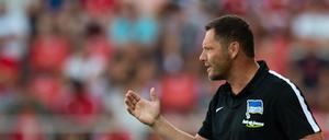 Pal Dardai geht auf Risiko gegen Schalke 04.