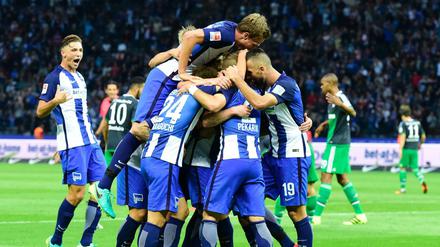Im Höhenrausch: die Spieler von Hertha BSC.