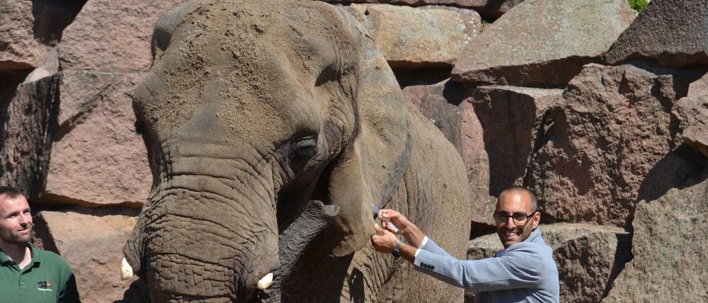 Vor 47 Jahren ist die Elefantenkuh Dashi als Kalb in den Tierpark gekommen, am Wochenende ist sie dort gestorben.