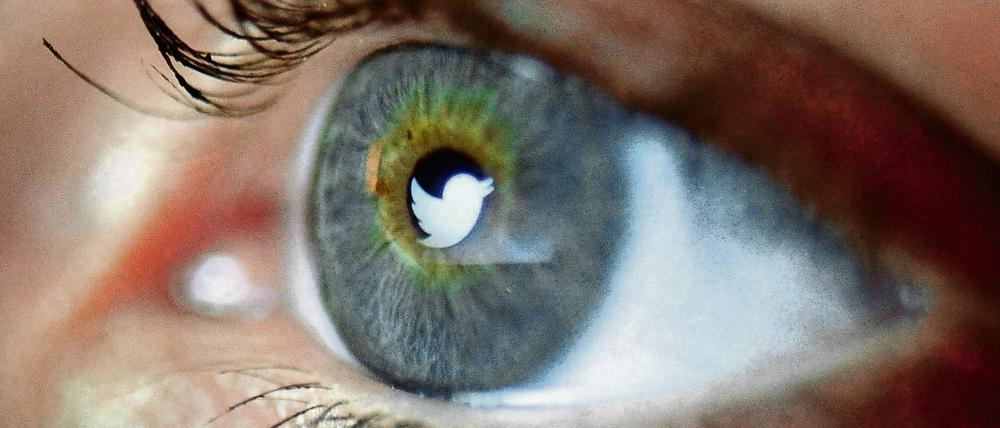 Aktuelle Twitter-Schau.