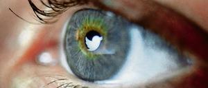 Aktuelle Twitter-Schau.